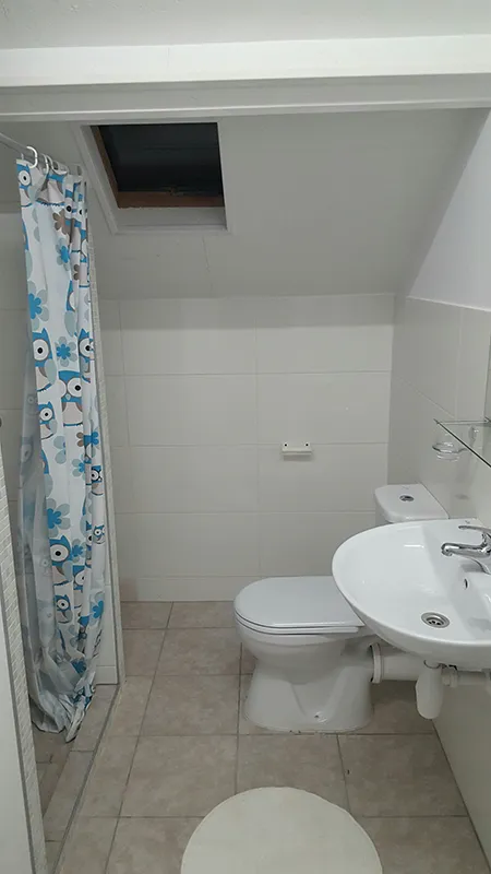 Gecombineerde badkamer - Douche, wastafel en toilet in één ruimte